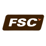 Future Supply Chain Solutions Share Price