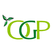 Orient Green Power Company Share Price