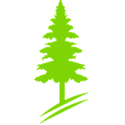 Mangalam Organics Share Price