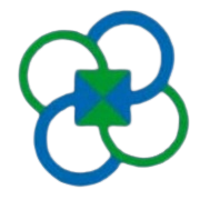 NDA Securities Share Price