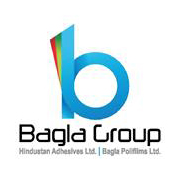 Hindustan Adhesives Share Price