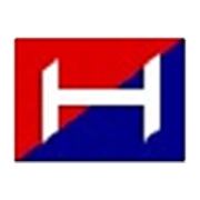 Phoenix Township Share Price