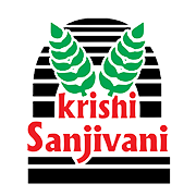 Basant Agro Tech (India) Share Price