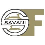 Mantra Capital Share Price