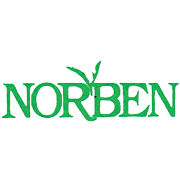 Norben Tea & Exports Share Price