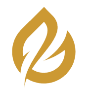 Spacenet Enterprises India Share Price