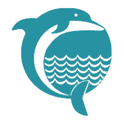 Dolphin Offshore Enterprises (India)  Share Price