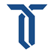 Texel Industries Share Price