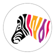 Indigo Paints Share Price