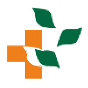 Sandu Pharmaceuticals Share Price