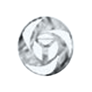 Yash Management & Satelite Share Price