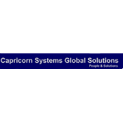 Capricorn Systems Global Solutions Share Price