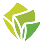 Shree Rama Newsprint  Share Price