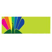 Greenlam Industries Share Price