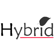 Hybrid Financial Services  Share Price
