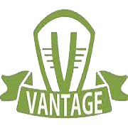 Vantage Knowledge Academy Share Price