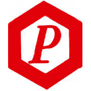 Polychem Share Price