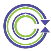 Centum Electronics Share Price