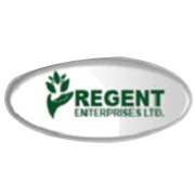 Regent Enterprises Share Price