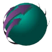 NMS Global Share Price