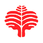 Premium Capital Market & Investments Share Price