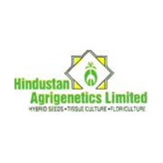 Hindustan Agrigenetics Share Price