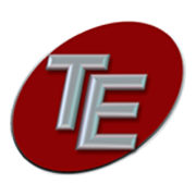 Triveni Enterprises Share Price