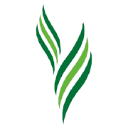 Antony Waste Handling Cell Share Price