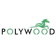 Dhabriya Polywood Share Price