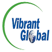 Vibrant Global Capital Share Price