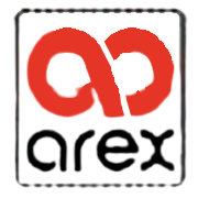 Arex Industries Share Price