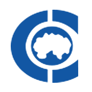 Chandra Prabhu International Share Price