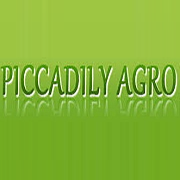 Piccadily Agro Industries  Share Price