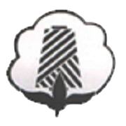 Spark Gold Rock Share Price