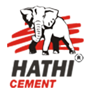 Saurashtra Cement Share Price