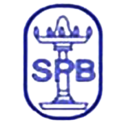 Seshasayee Paper & Boards Share Price