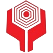 Vikram Thermo (India) Share Price