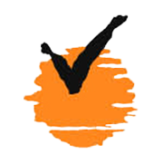 Virat Industries Share Price