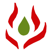 Progrex Ventures Share Price