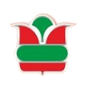 Prima Plastics Share Price