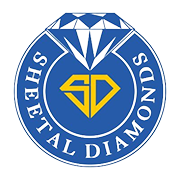 Rajnish Retail Share Price