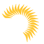 BNR Udyog Share Price