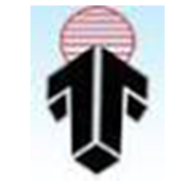 Integrated Thermoplastics Share Price