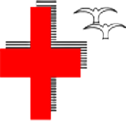 N G Industries Share Price