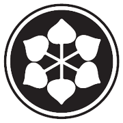 Shriram Pistons & Rings Share Price