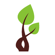 Contil India Share Price