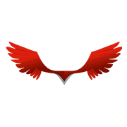 Kati patang Lifestyle Share Price