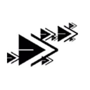 Bloom Dekor Share Price