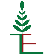Tuticorin Alkali Chemicals & Fertilizers Share Price