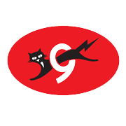 Eveready Industries India Share Price